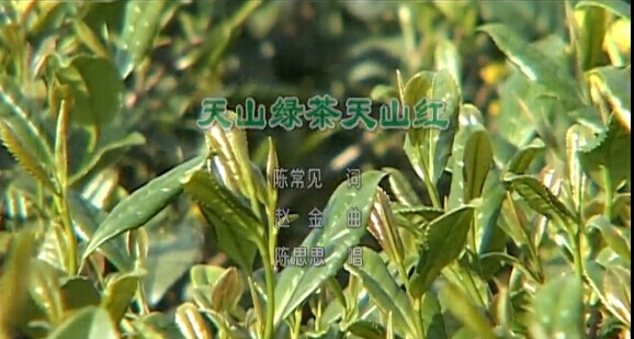 “美丽蕉城”优秀歌曲展播之——天山绿天山红