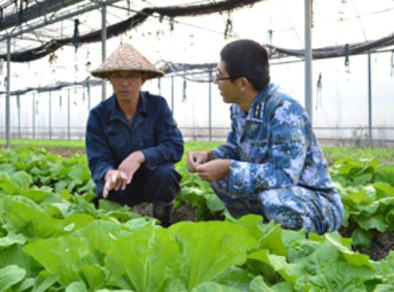 “开心农场”丰富海岛“菜篮子”